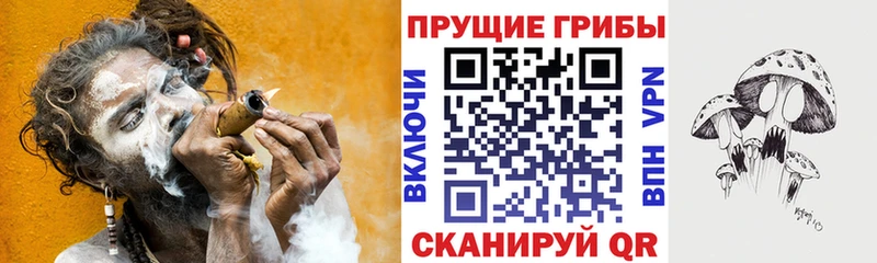 что такое   Лесозаводск  Галлюциногенные грибы мицелий 
