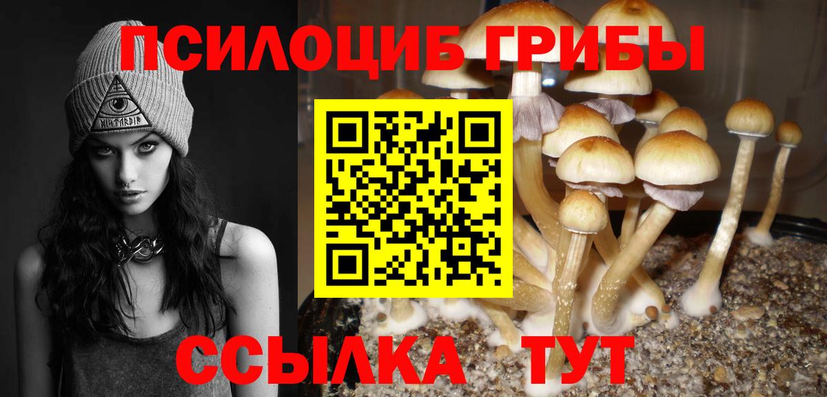 Лесозаводск  Галлюциногенные грибы MAGIC MUSHROOMS  Вход с VPN 